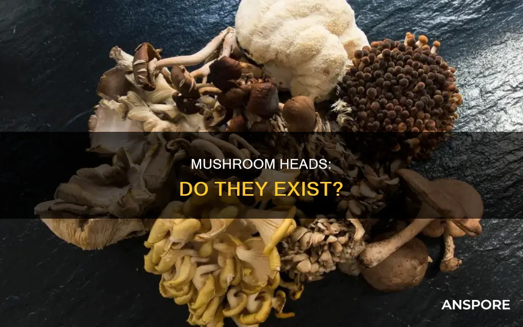 are there mushroom heads