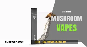 Vaping Shrooms: Is It Possible?