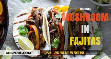 Mushrooms in Fajitas: A Culinary Mystery Solved