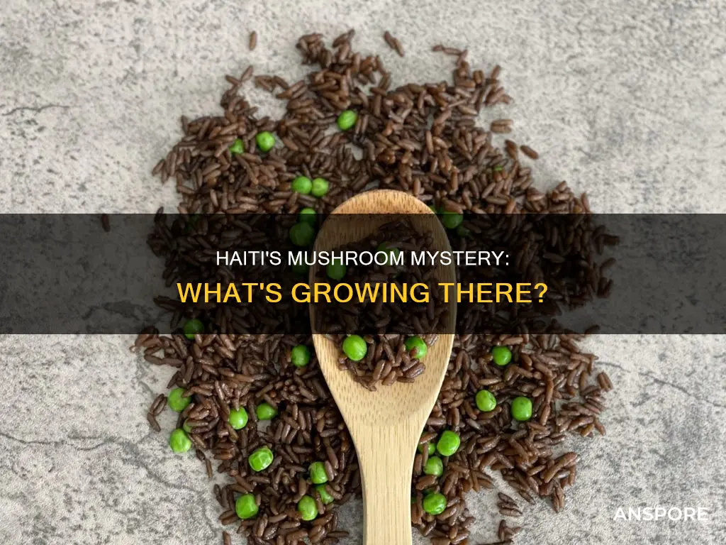 are there mushrooms in haiti