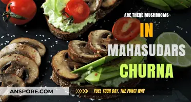 Mahasudarshana Churna: Does It Contain Mushrooms?