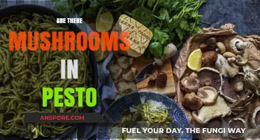 Mushroom Pesto: The Ultimate Flavor Combination