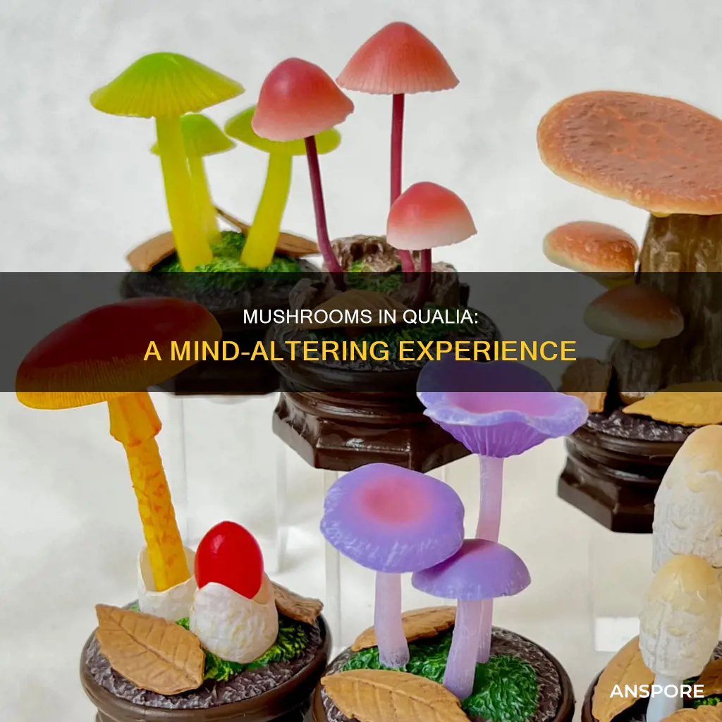 are there mushrooms in qualia