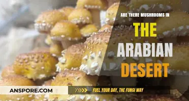 Mushrooms in the Arabian Desert: A Myth or Reality?