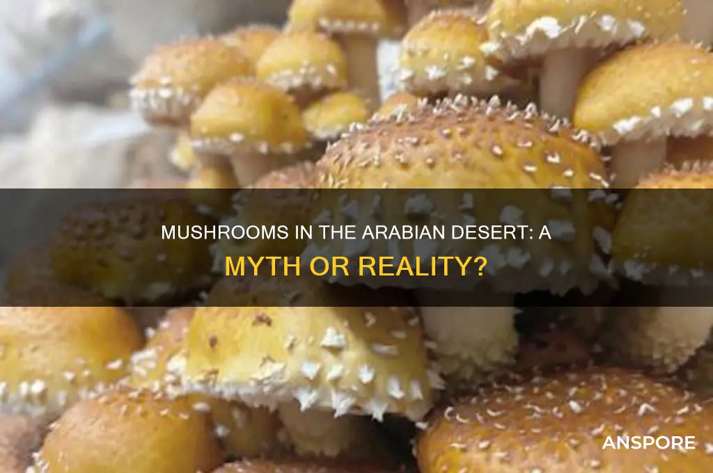 are there mushrooms in the arabian desert