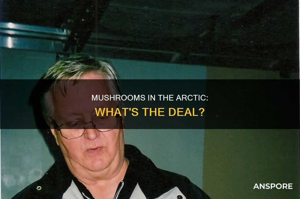 are there mushrooms in the arctic