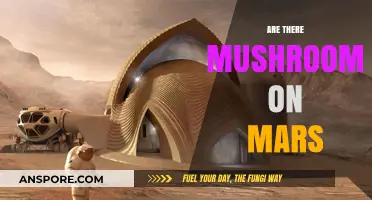 Mushrooms on Mars: A Possibility or a Myth?