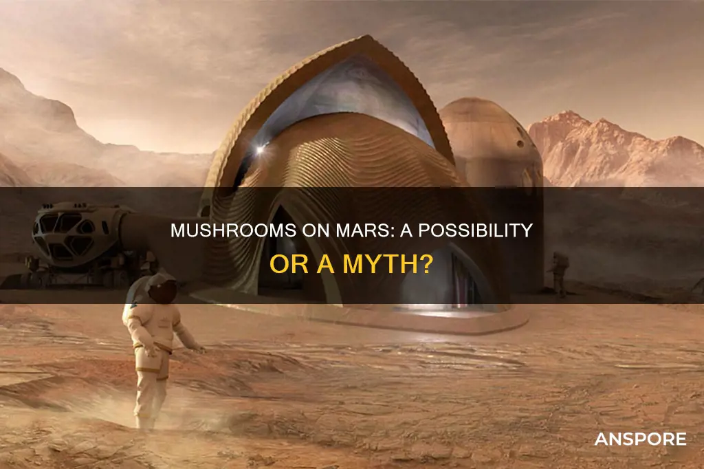 are there mushrooms on mars