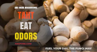 Do Mushrooms Absorb Odors? Exploring Fungal Olfactory Capabilities