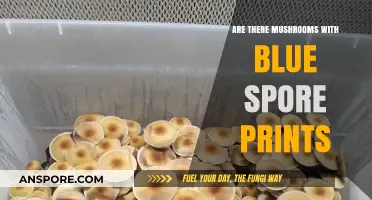 Exploring the Rarity of Blue Spore Prints in Mushrooms