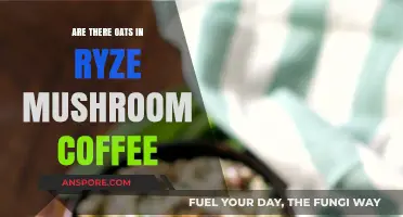 Ryze Mushroom Coffee: Oat-Free, Healthy Energy Boost