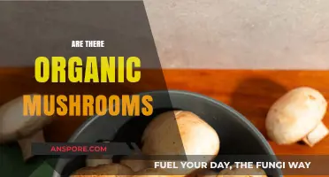 Organic Mushrooms: Myth or Reality?