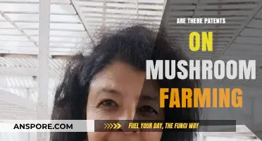 Mushroom Farming: Patents and Innovation