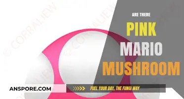 Mushroom Kingdom: Are Pink Mushrooms a Myth?