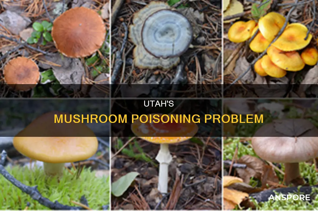 are there poisonis mushrooms in utah