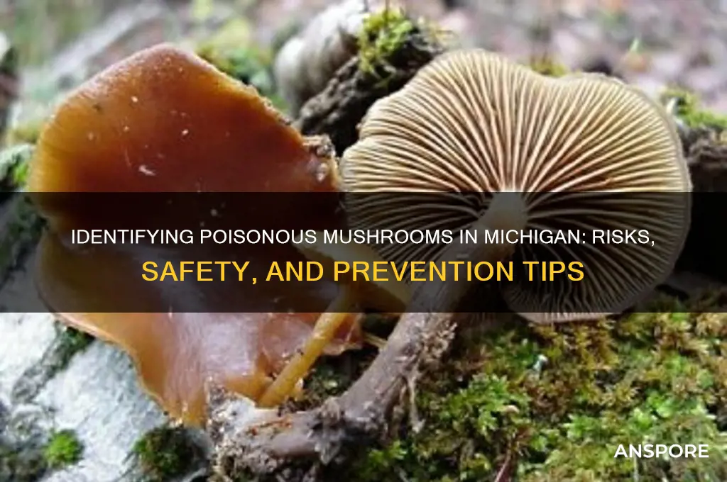 are there poisonous mushrooms in michigan