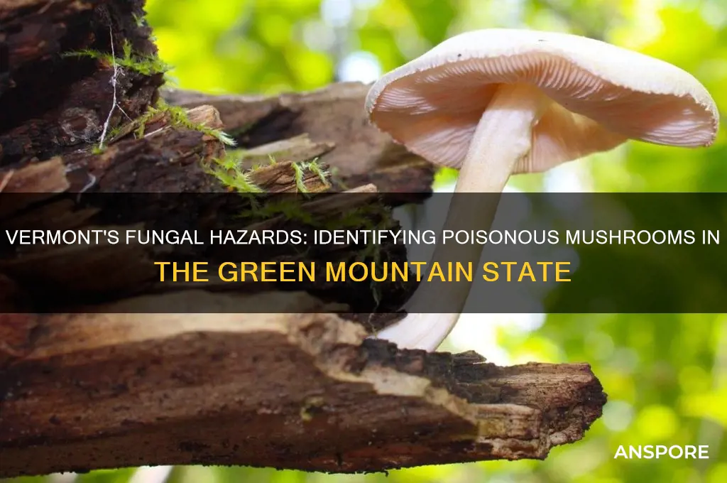 are there poisonous mushrooms in vermont
