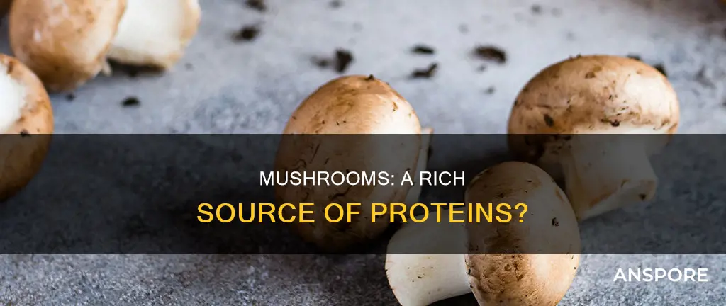 are there proteins in mushrooms