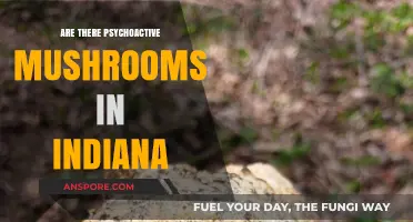 Exploring Indiana's Psychoactive Mushrooms