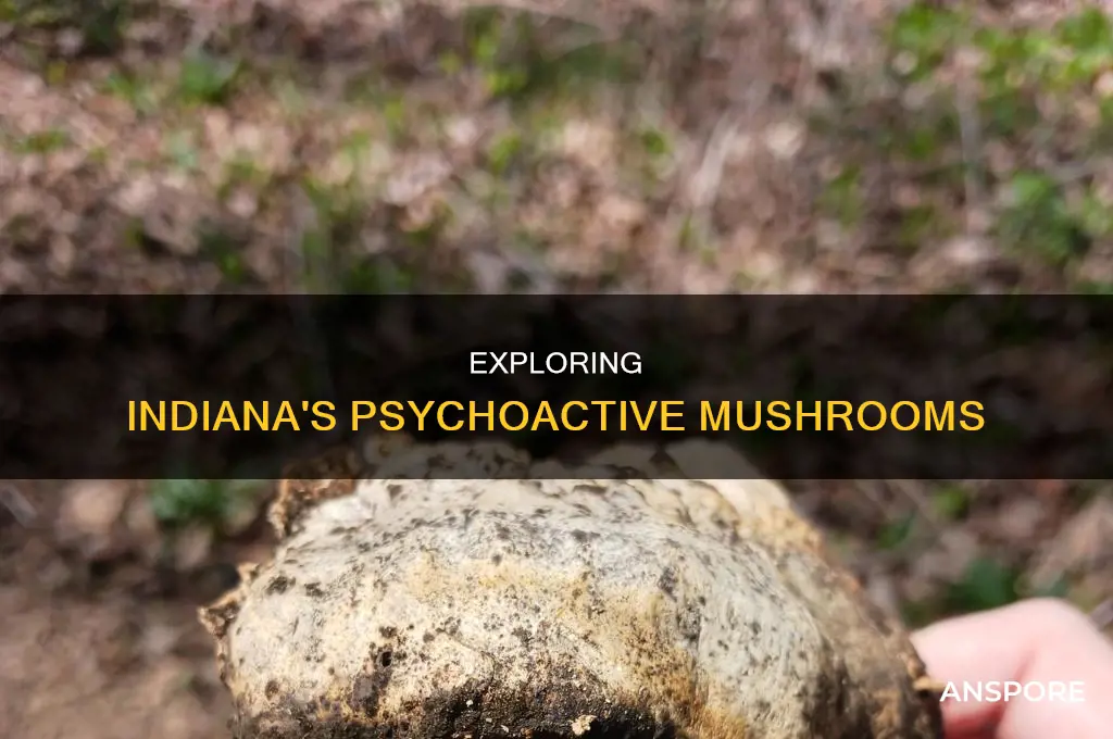 are there psychoactive mushrooms in indiana