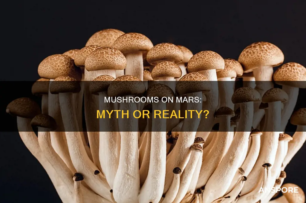 are there really mushrooms on mars