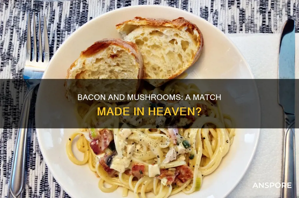 are there recipes for bacon and mushrooms in one dish