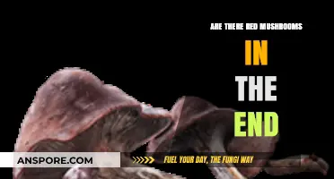 Exploring the End: Red Mushrooms Discovered