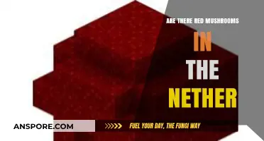 Red Mushrooms in the Nether: Where to Find Them?