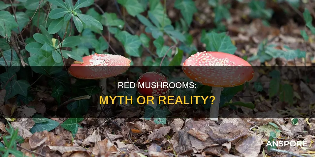 are there red mushrooms