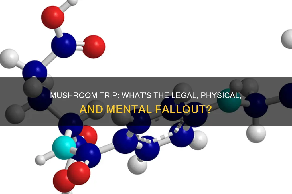 are there repercussions to taking mushrooms