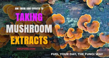 Mushroom Extracts: Benefits and Side Effects