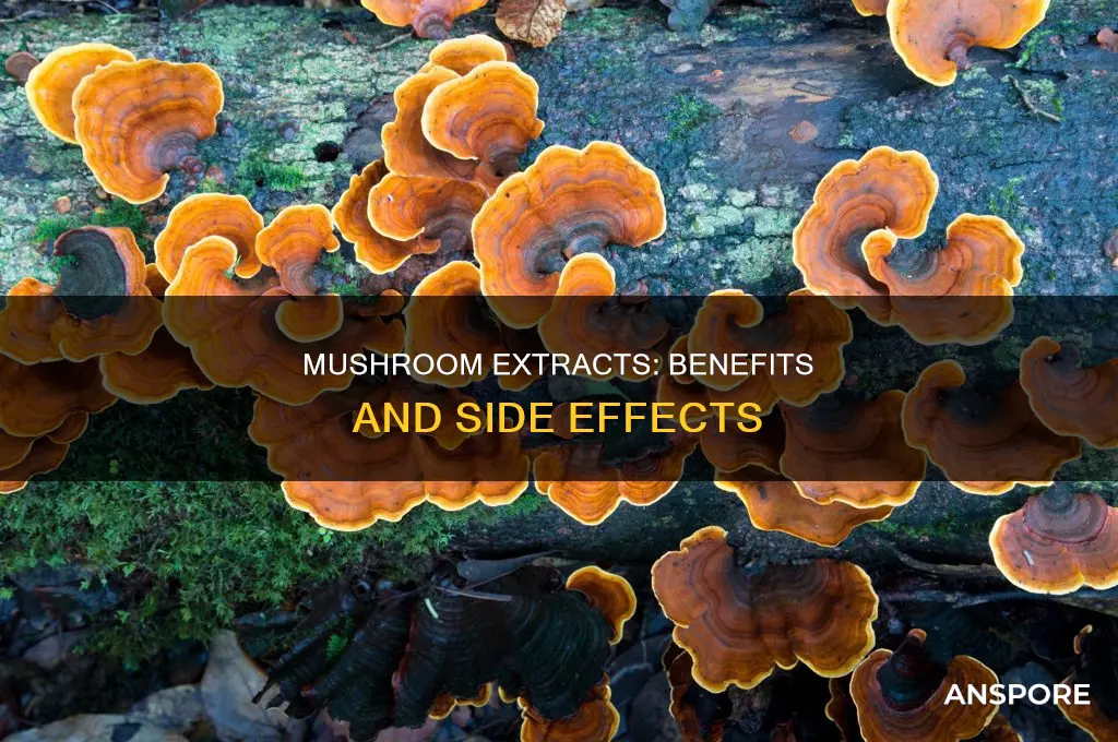 are there side effects to taking mushroom extracts