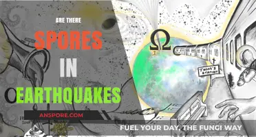 Earthquakes and Spores: Unraveling the Myth of Seismic Fungal Release
