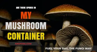 Mushroom Containers: Do Spores Grow?