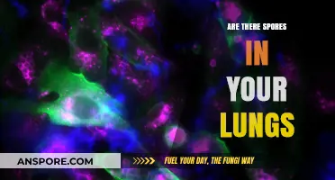 Unseen Invaders: Exploring the Presence of Spores in Your Lungs