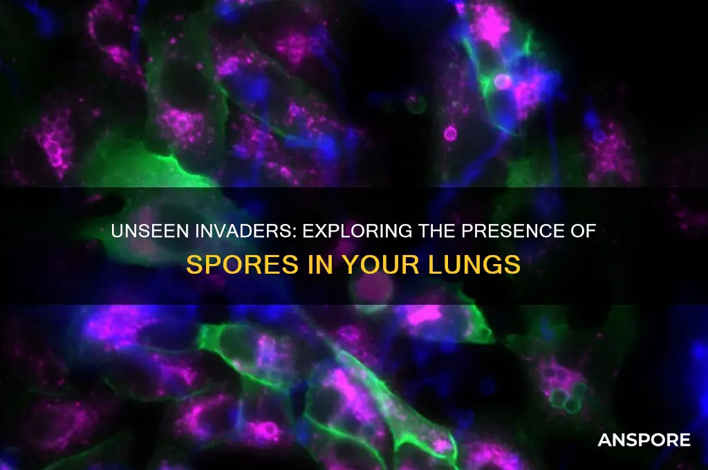 are there spores in your lungs