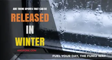 Winter Spores: Unveiling the Hidden Fungal Activity in Cold Months