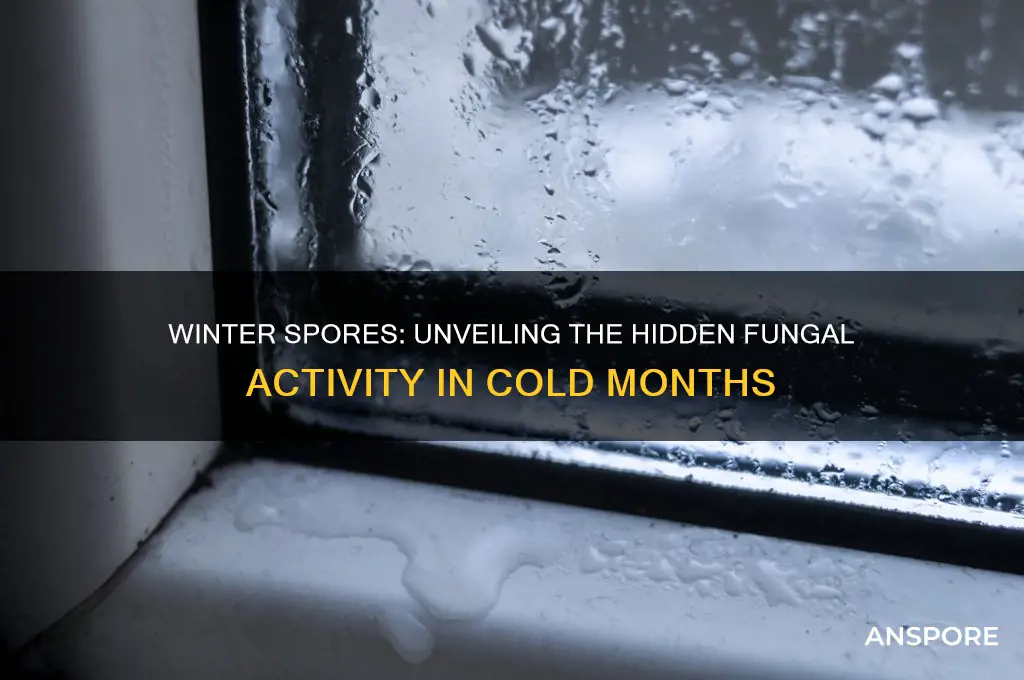 are there spores that can be released in winter