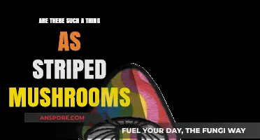 Striped Mushrooms: Myth or Reality?