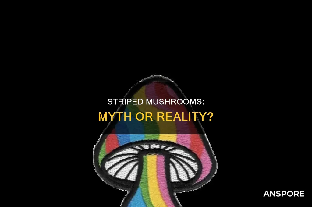 are there such a thing as striped mushrooms