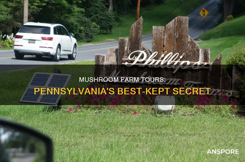are there tours of mushroom farms in pennsylvania