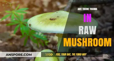 Raw Mushrooms: Are They Toxic?