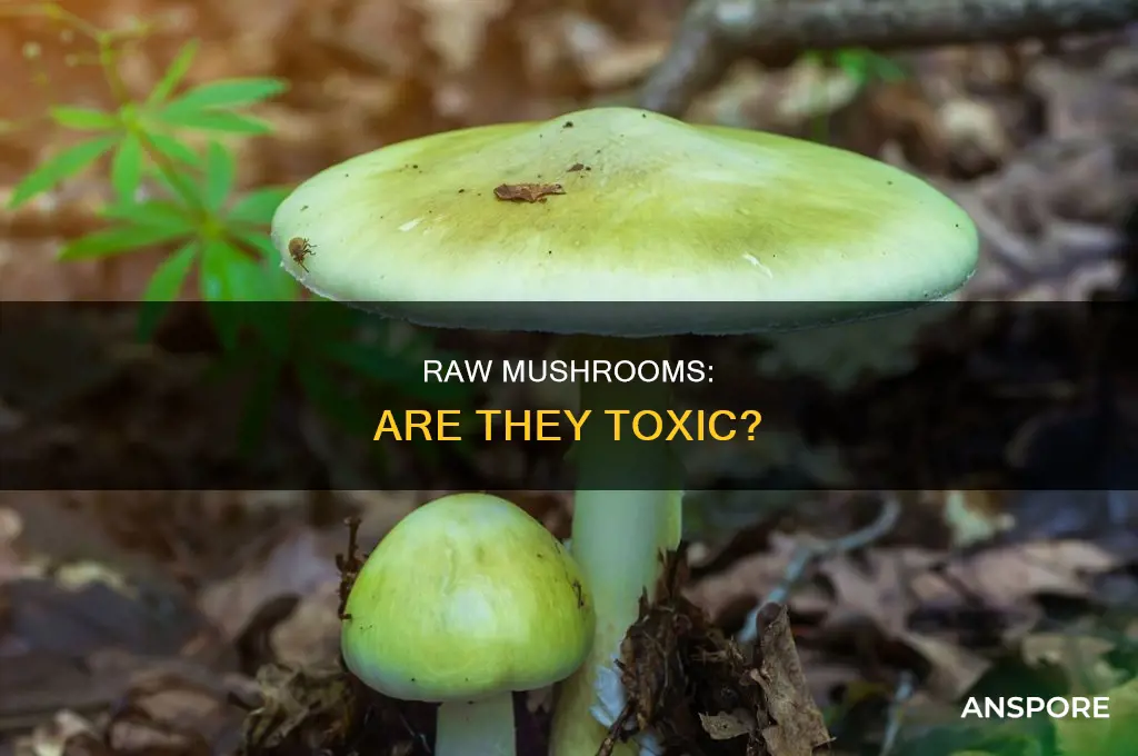 are there toxins in raw mushrooms