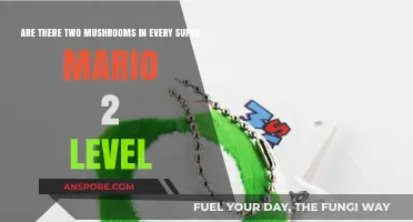 Mushroom Mystery: Super Mario 2 Levels Explored