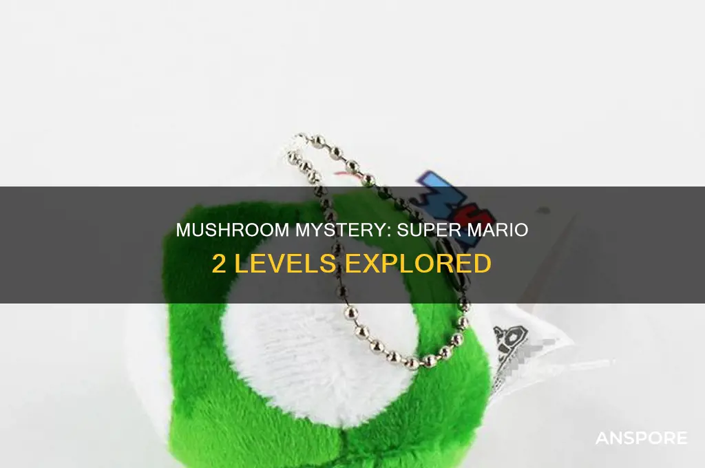 are there two mushrooms in every super mario 2 level