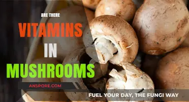 Mushrooms: Nature's Vitamin Powerhouses