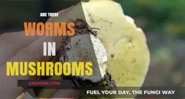 Mushrooms and Worms: Unlikely Roommates?