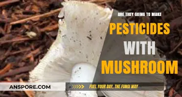 Mushroom-Based Pesticides: The Future of Eco-Friendly Pest Control?