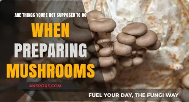 Mushroom Prep: Avoid These Critical Mistakes