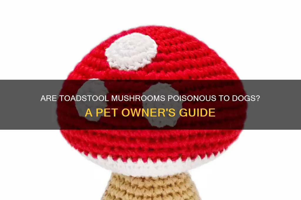 are toadstool mushrooms poisonous to dogs